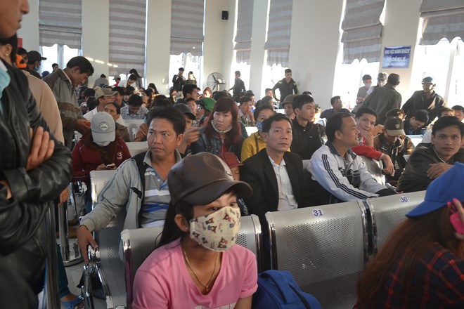 TOUR TẾT LÝ SƠN 2 NGÀY 1 ĐÊM