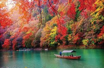 TOUR TOKYO – NÚI PHÚ SỸ 4 Ngày