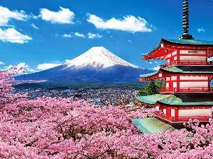 TOUR TOKYO – NÚI PHÚ SỸ 4 Ngày