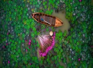 Tour Đà Nẵng đi Sài Gòn – Miền Tây 4 ngày 3 đêm