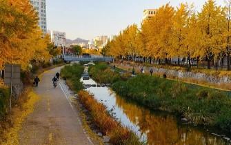 KHÁM PHÁ “XỨ SỞ KIM CHI” HÀN QUỐC