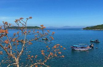 Tour tết Đà Nẵng Cù Lao Chàm Hội An