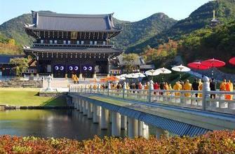 TOUR TOKYO – NÚI PHÚ SỸ 4 Ngày