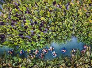 Tour  Đà nẵng Hội an từ Huế