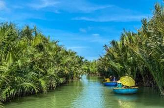 Tour Rừng Dừa Bảy Mẫu