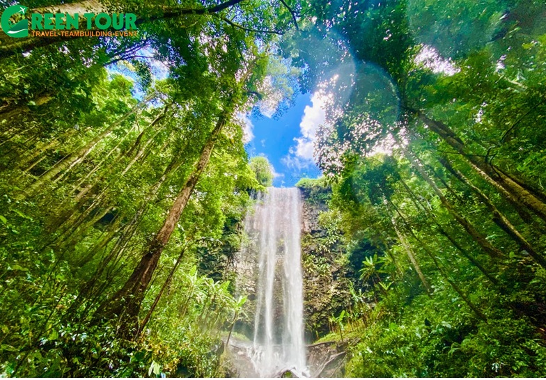 Tour Đà Nẵng – Măng Đen 2 ngày 1 đêm