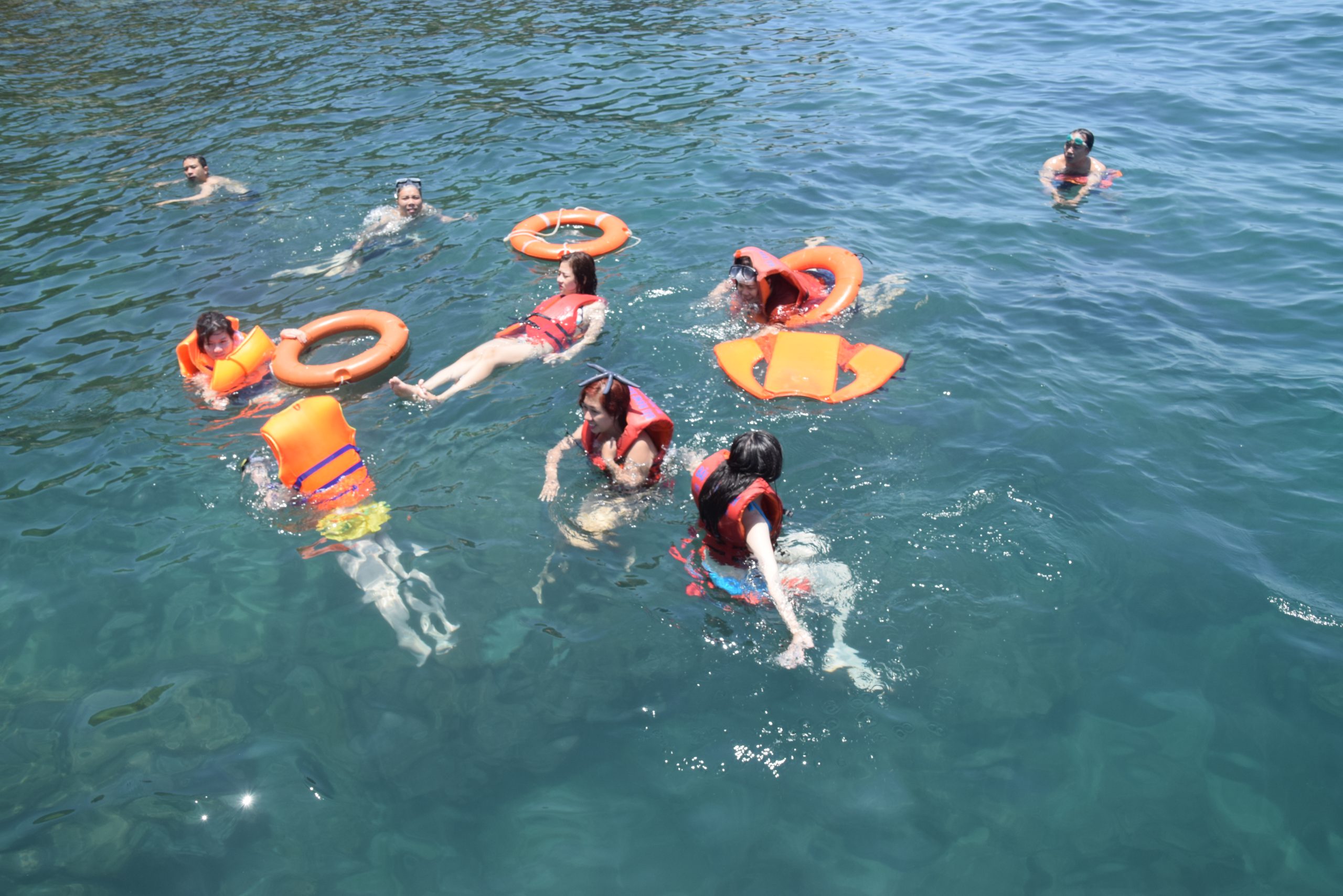 Tour lặn ngắm san hô tại Bán Đảo Sơn Trà