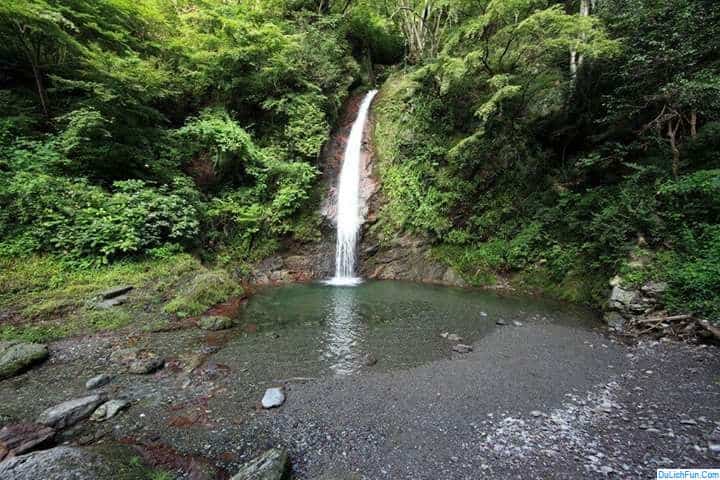 Tour Đà Nẵng – Làng Đại Bình 1 ngày